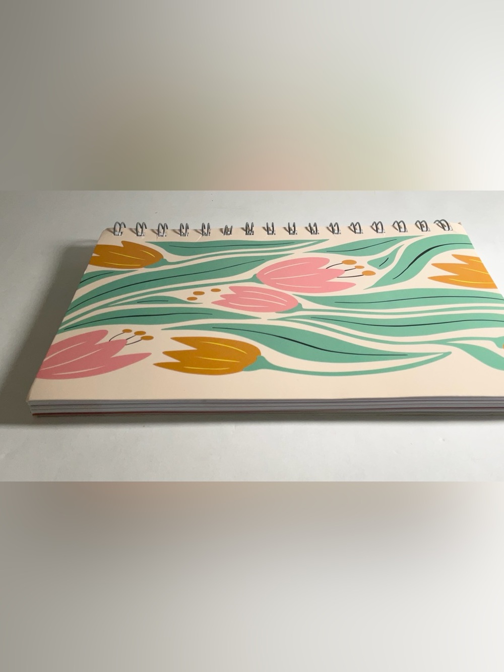 The Bible in A Year A 52-week Study Spiral Bound Gods Word Plan Book for Women - Picture 5 of 6